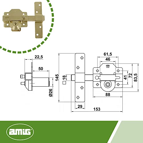 Amig - Cerrojo de Alta Seguridad para Puertas de Acabado Pulido Dorado, Bombillo Redondo de 50mm de Largo, Medida de Placa: Ancho 88mm, Alto 80mm, 9 x 15.5 x 8 cm