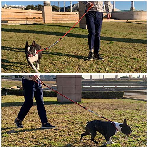 Correa Perro Nylon Redonda con Muelle, Hecho a Mano en España, Resistente Antitirones Fuerte para Perros gordos medianos y Grandes. Tamaño de 1.2*120 cm