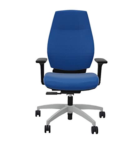 Dauphin Comfort XT 3D - Silla de oficina ergonómica, respetuosa con la espalda, color azul