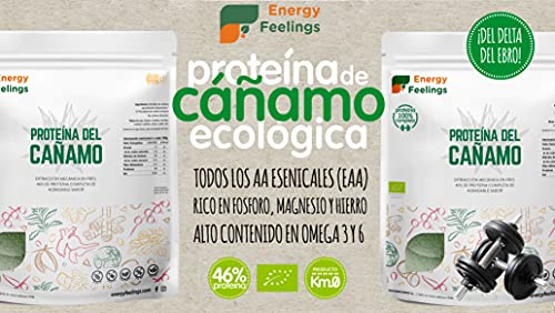 Energy Feelings Proteína de Cáñamo Ecológica | 50% Proteína Orgánica en Polvo KM.0 | Proteína Vegana | Sin Gluten | Sin Lactosa | Sin Azúcar Añadido | 500g