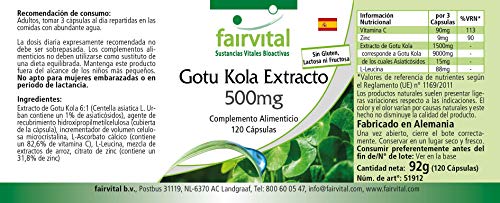 Extracto de Gotu Kola 500mg - Centella asiatica - Dosis elevada - VEGANO - 120 Cápsulas