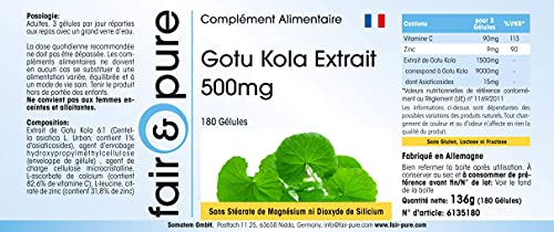 Extracto de Gotu Kola 500mg - Centella asiatica - Vegano - Altamente dosificado - Alta pureza - 180 Cápsulas