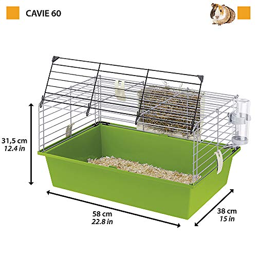 Ferplast Jaula para Conejillos de Indias CAVIE 60, Sistema de Cierre de Seguridad, Accesorios incluidos, Estructura de Alambre Pintado Gris y cubeta de plástico, 58 x 38 x h 31,5 cm