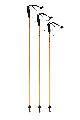 Ferrino Stick Eiger CM.135 Bastón de Senderismo Acampada, Adultos Unisex, Gold (Pair)