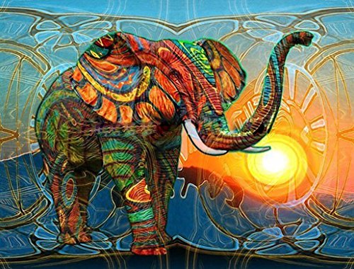 Fuumuui Pintar por Numeros para Adultos Niños,DIY Pintura por números de Kits Sin Marco--Elephant 40cm * 50cm