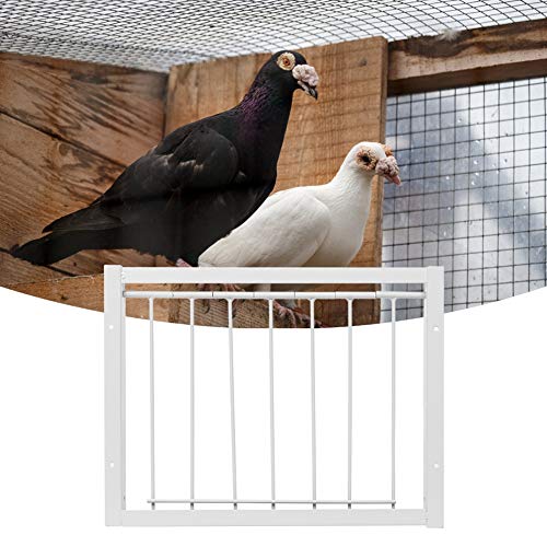 Jaula para pájaros T-Trap Puerta de Hierro para casa Trampa de Entrada para pájaros de Alta Resistencia Ventana unidireccional Cortina para Puerta Barras en T de Hierro para Pigeon (30 * 26cm)