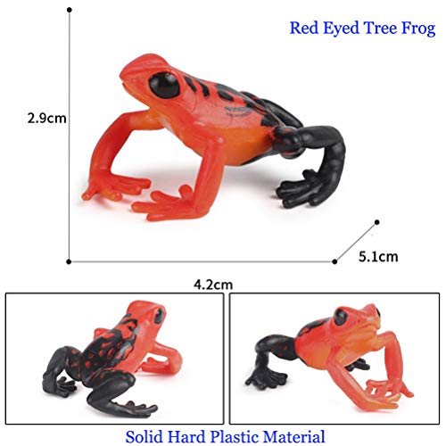 JOKFEICE Figuras de Animales 7 pcs Realista Plástico Familia de Ranas Incluye Rana Toro, Rana Arbórea etc. Proyecto de Ciencia, Regalo de cumpleaños, Decoración de Pastel para niños