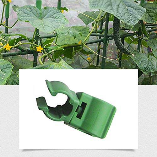 Keebgyy 36 conectores de caña de enrejado para plantas, accesorios de ratán para escalar, conectores de plantas, clip para jaulas de tomate de jardín (16 mm)