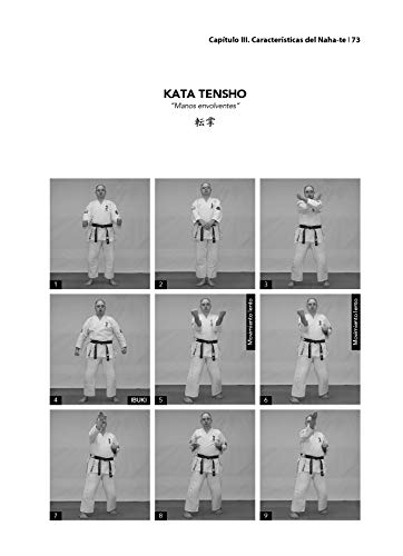 Kyokushin. Karate Kata Ôyô Bunkai (KATAS SUPERIORES I. La influencia de Shorei)