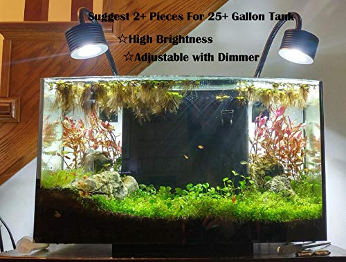 Lominie Lampada Acquario, Asta 20 Nano Dimmerabile Pianta Acquario LED Carro Armato Luce con 6500K Collo Di Cigno per Piante Acquario D'acqua Dolce Fish Tank Refugium (F20 Acqua Dolce)