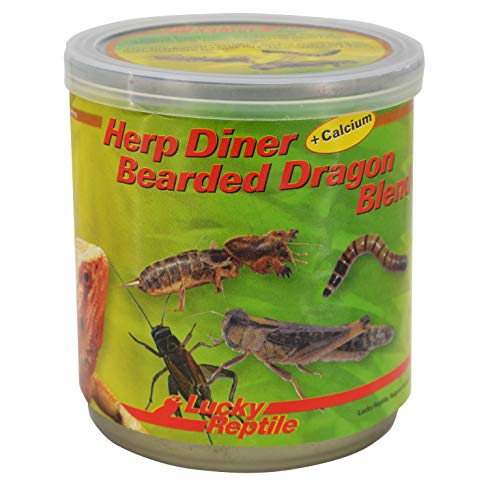 Lucky Reptile Herp Diner Dragón Barbudo 70g