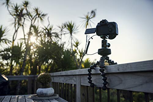 Manfrotto Genie Mini II Control de Movimiento, Deslizador Motorizado para Cámara, Soporte de Cámara, Trípode, para Filmar en Movimiento, Accesorios de Fotografía, Control con App