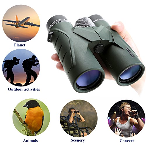 NOCOEX Binoculares 10x42 para Adultos, Prismáticos Profesionales HD Compactos para Observación de Aves, Viajes, Observación de Estrellas, Camping, Conciertos, Visitas Turísticas