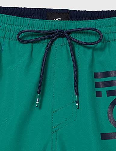 O'Neill Pm Original Cali Shorts, Bañador para Hombre, Verde (6168 Ivy), L