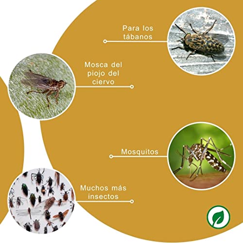 Peticare Spray contra tábanos, Mosquitos para Caballos - Multi-Repelente eficaz y de Larga duración y protección, garrapatas, Moscas, parásitos, Bloqueador tábano - petAnimal Protect 2009