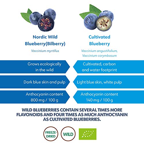 Polvo de Arándanos Silvestres Orgánicos LOOV, cosechado de forma silvestre en los bosques nórdicos, 100% fruta entera, 90 g, arándanos liofilizados y en polvo, sin azúcar añadida