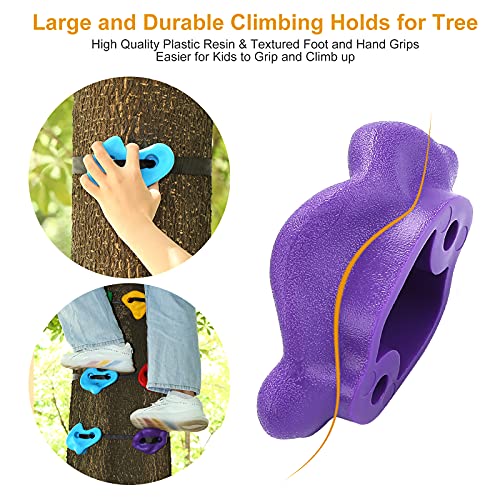 Presas de Escalada para Niños, Juego de 12 agarres de escalada para niños, con 6pcs 6.6ft/2m Correas de trinquete, Capacidad de Carga 100 kg,Tree Rock Climbing Escalar Kit