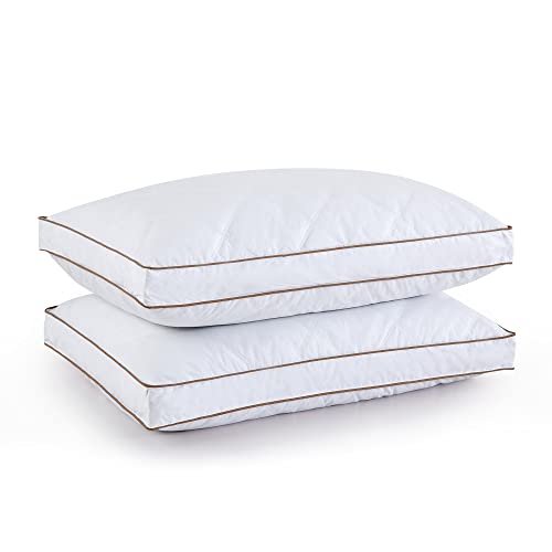 puredown® Juego de 2 Almohadas Acolchadas de Plumón y Plumas de Ganso, Relleno de 1050g, Funda de 100% Algodón, Lavar a Maquína, Fabricada en Alemania, 46x66x3,8cm