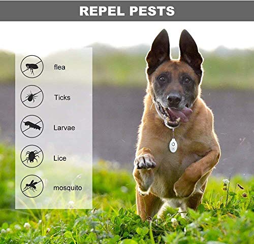 Qukulay Repelente Ultrasónico de Mosquitos Portátiles Dispositivo Repelente Antimosquitos Electrónico para Control Mosquitos, Hormigas, arañas, Insectos, pulgas, cucarachas,100% inofensivo