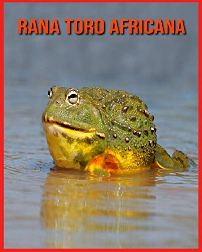 Rana Toro Africana: Fatti di apprendimento divertenti sui Rana Toro Africana