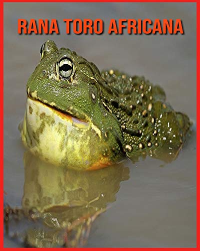 Rana Toro Africana: Fatti sorprendenti sui Rana Toro Africana