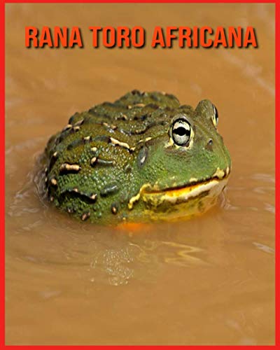 Rana Toro Africana: Scopri i Rana Toro Africana e goditi le immagini colorate