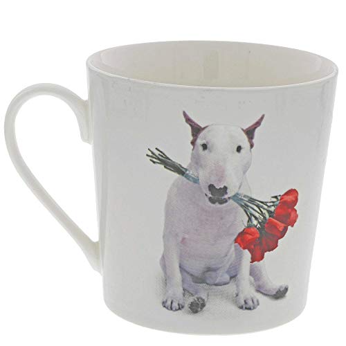 Red Roses (Jimmy The Bull) - Taza y posavasos para perro