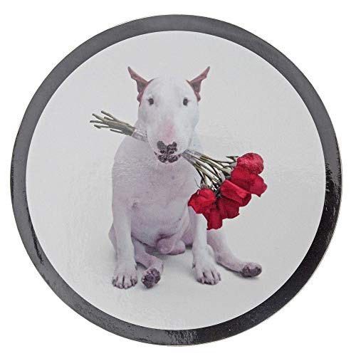 Red Roses (Jimmy The Bull) - Taza y posavasos para perro