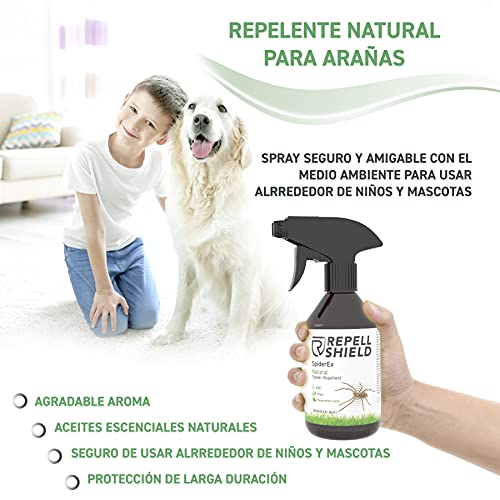 RepellShield Spray Repelente Anti Arañas - Repelente Arañas para Eliminar Arañas de Manera Efectiva - Repelente de Arañas Natural con Aceite de Menta - Alternativa Ideal al Mata Arañas Común, 250 ml