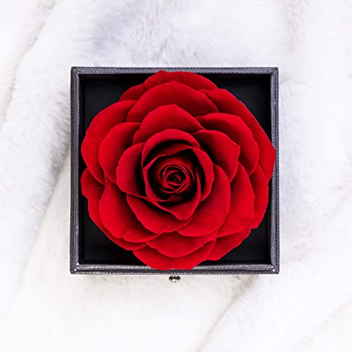 Rosa Eterna con Te Quiero Collar Caja de Regalos para Mujeres, Preservada Rosa Real Hecha a Mano de Regalos Románticos para Cumpleaños Aniversario de Bodas para Mamá Parejas Novia-Rojo