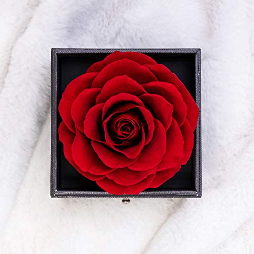 Rosa Real preservada con Collar I Love You Caja de Regalo en 100 Idiomas, Rosa eterna para el día de San Valentín, día de la Madre, Aniversario de Bodas, Regalo de cumpleaños para Ella - Negro