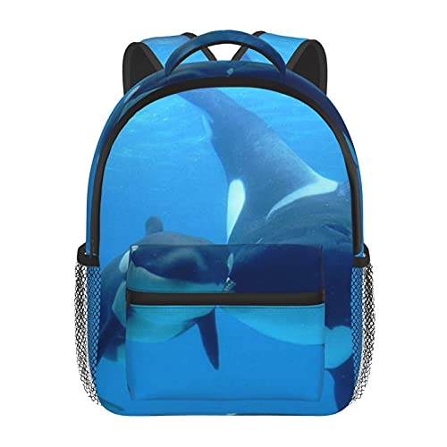 RTUBNSD Mochila Infantil para Niño Kindergarten Amor de ballena orca Mochilas Kinder Preescolar Niñas Mochila Mochilas Lindo 2-5 Años