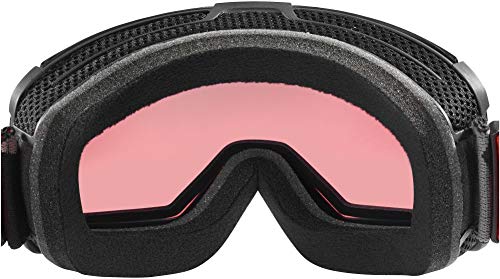 SALOMON Goggles Cosmic Sigma Gafas de Sol, Adultos Unisex, Black (Negro), NS