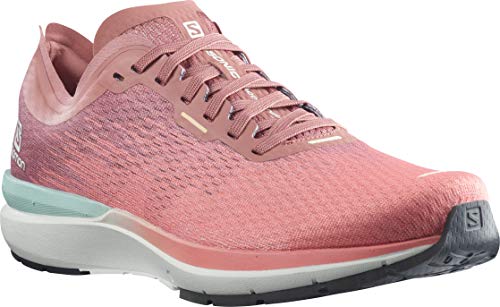 SALOMON Sonic 4 Accelerate W, Zapatillas de Running Mujer, Persimon/White/Brick Dust, 40 2/3 EU