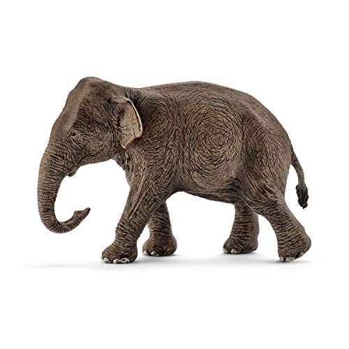 Schleich-14753 Figura de Elefante asiático Hembra, Colección Wild Life, Color marrón, 13 cm (14753)