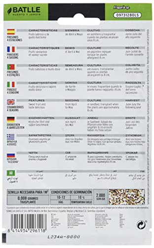 Semillas Batlle - Fresones 4 estaciones