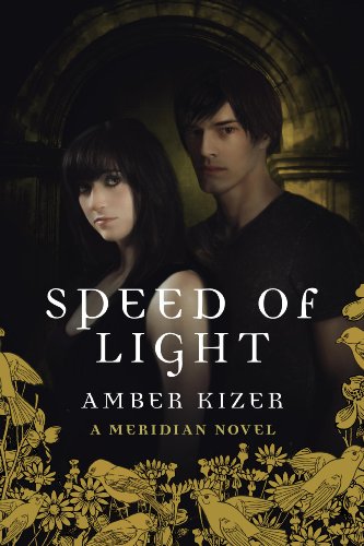 Speed of Light (Meridian Book 3) (English Edition)