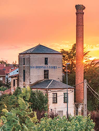 Testigos y Vigías - Volumen II. Una aproximación histórica y cultural al valle de Vidriales de Zamora