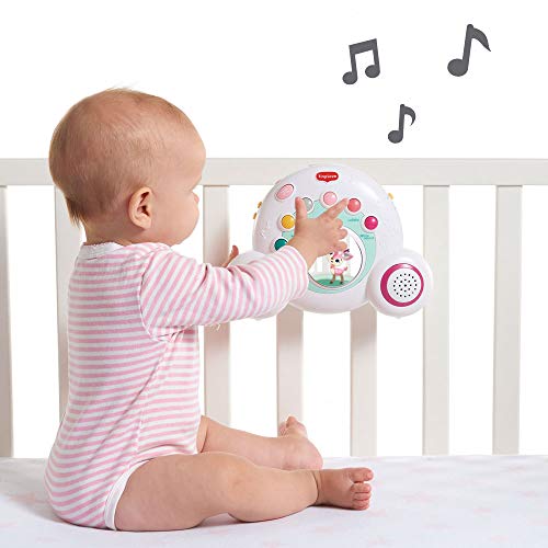 Tiny Love Soothe'n Groove Carrusel cuna rosa, Movil musical cuna se convierte en caja musical independiente, 40 minutos de musica 18 melodias, Tiny Princess Tales