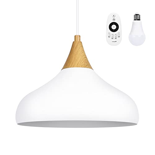 tomons Lámpara colgante Regulable, Lámpara de Techo de Hierro con Mando a Distáncia, Estilo Moderno Escandinavo Simple, Blanco, Con LED E27 Bombilla