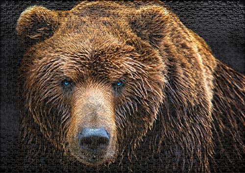 Ulmer Puzzleschmiede - Puzzle Grizzly: Puzzle de 1000 Piezas - el Oso en Primer Plano - un Moderno Rompecabezas Animal