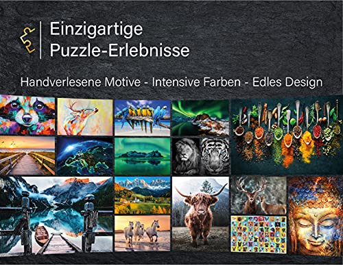 Ulmer Puzzleschmiede - Puzzle Grizzly: Puzzle de 1000 Piezas - el Oso en Primer Plano - un Moderno Rompecabezas Animal