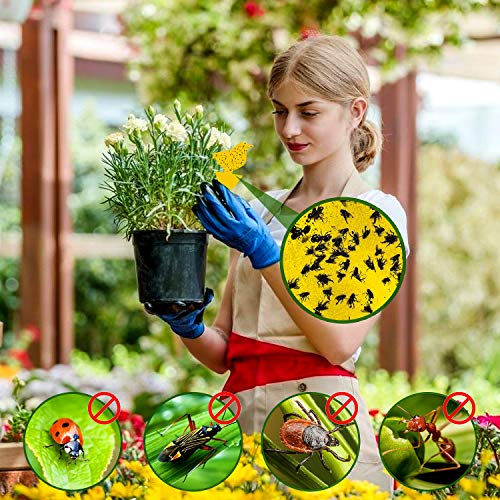 WELLXUNK® Trampas de Insectos, Atrapa Mosca, Trampa de Moscas enchufables, Trampa para Moscas de la Fruta, Trampa Moscas para Proteger Plantas y Atrapar Moscas, Insectos Voladores (48 Piezas)