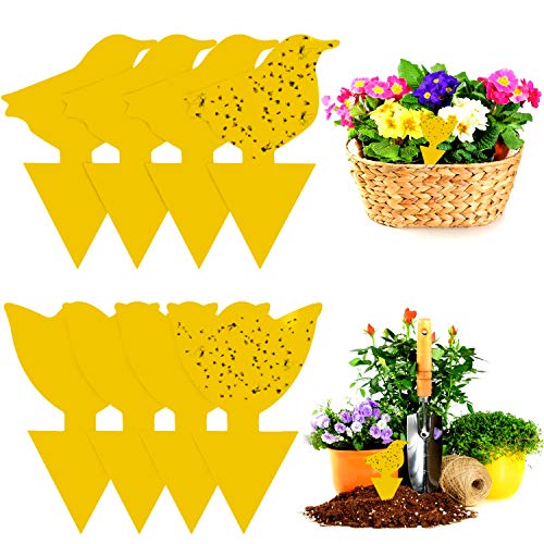 WELLXUNK® Trampas de Insectos, Atrapa Mosca, Trampa de Moscas enchufables, Trampa para Moscas de la Fruta, Trampa Moscas para Proteger Plantas y Atrapar Moscas, Insectos Voladores (48 Piezas)