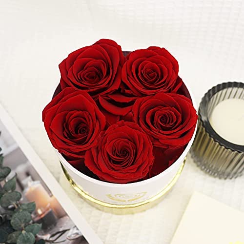 Yamonic 5 Rosas Reales Que durarán de 2 a 3 años, Regalo de Caja de Rosas para Ella, Idea cumpleaños, Regalos de San Valentín para Ella - Rosa roja, Caja Blanca