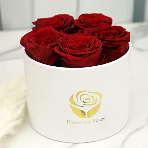 Yamonic 5 Rosas Reales Que durarán de 2 a 3 años, Regalo de Caja de Rosas para Ella, Idea cumpleaños, Regalos de San Valentín para Ella - Rosa roja, Caja Blanca