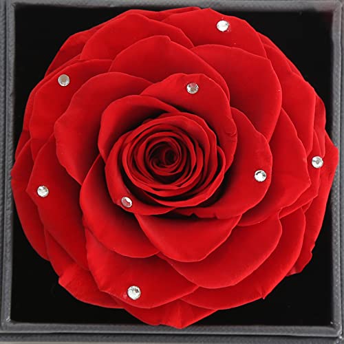 Yamonic Rosa Eterna con Juego de Joyas Brillantes, Regalo Cumpleaños Mujer, Rosa Eterna Natural Preservada, Te Amo para Siempre en Español, Regalo de San Valentín para Ella,Rosa Real