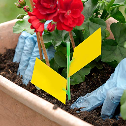 YHmall 30 Pcs Trampa Moscas, Atrampa Moscas Insectos Amarillo de Doble Cara para Proteger Plantas y Atrapar Moscas, Insectos Voladores