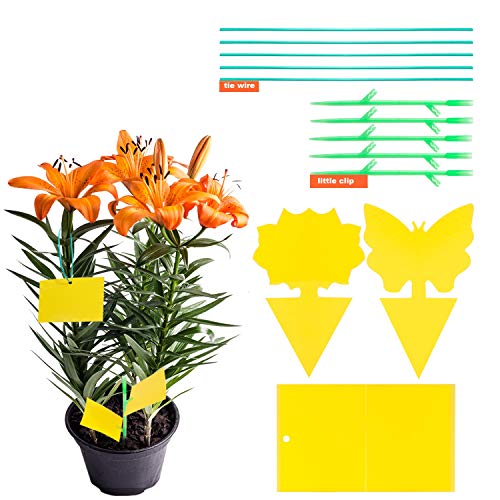 YHmall 30 Pcs Trampa Moscas, Atrampa Moscas Insectos Amarillo de Doble Cara para Proteger Plantas y Atrapar Moscas, Insectos Voladores