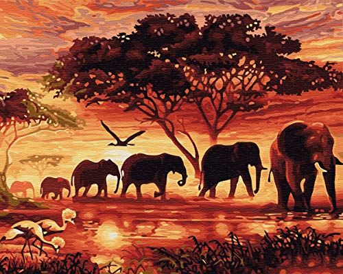 YXQSED [sin Marco DIY Pintura por Números Pint por Número de Kits for Adultos Mayores Avanzada Niños Joven-Elefante Africano 16x20 Inch